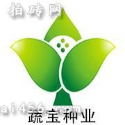 河北省泊头市蔬宝种业有限公司
