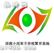 山东琦源小尾寒羊养殖繁育基地